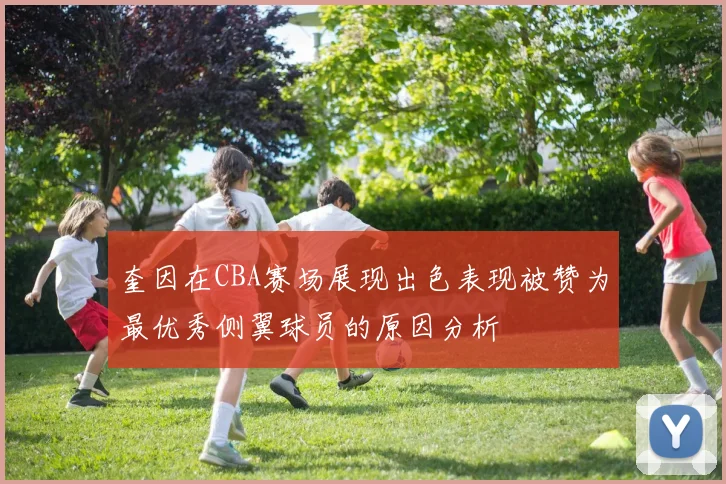 奎因在CBA赛场展现出色表现被赞为最优秀侧翼球员的原因分析