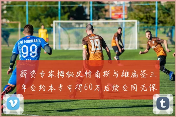 薪资专家揭秘皮特南斯与雄鹿签三年合约本季可得60万后续合同无保障