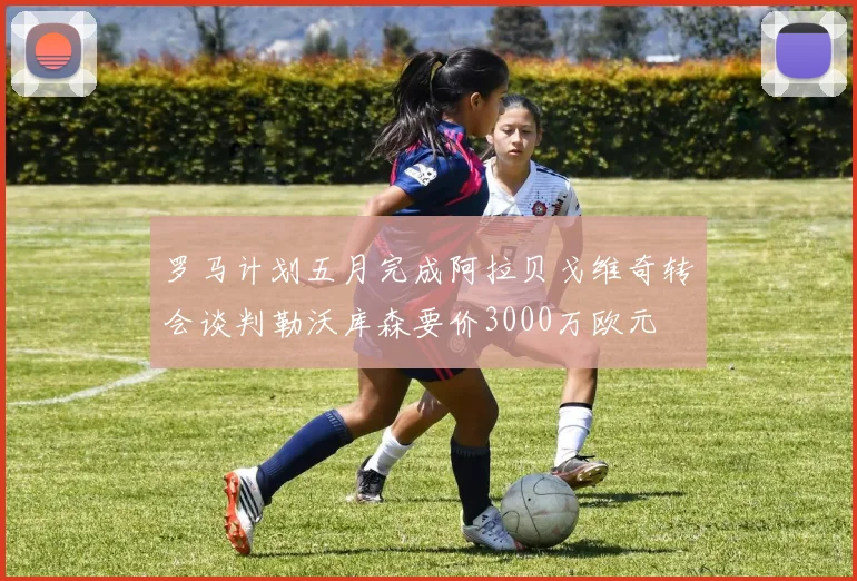 罗马计划五月完成阿拉贝戈维奇转会谈判勒沃库森要价3000万欧元
