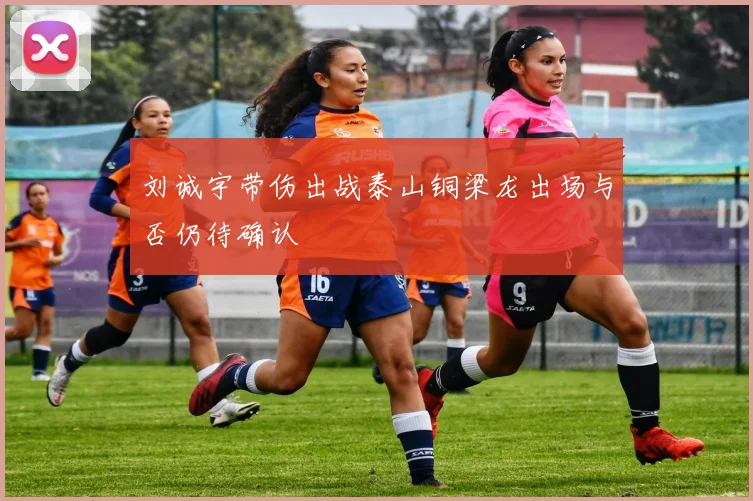 刘诚宇带伤出战泰山铜梁龙出场与否仍待确认